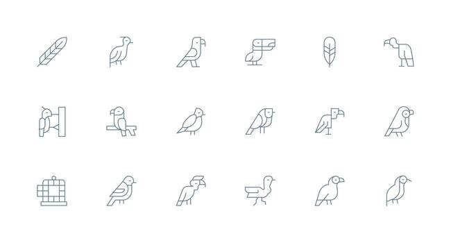 Ornithology Icon Set with 18 Minimal Line Graphics Multi-Style Icons for Creative Projects vector