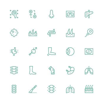 25 medio carrera contorno íconos para anatomía gráficos ui y ux enfocado icono colección vector