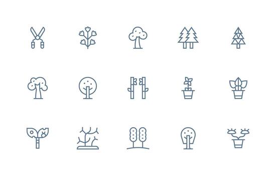 Foliage Icon Set with 15 Regular Line Graphics Organized Icon Pack for Quick Access vector