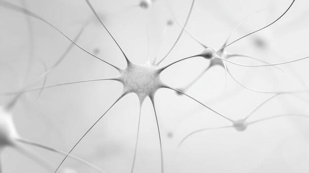Neural Network Close-Up Interconnected Neurons Forming a Complex System in Monochrome, Symbolic of Intelligence and Science photo