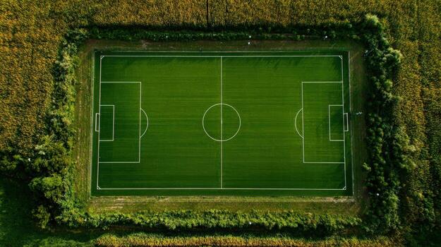 Aerial View of a Football Field Surrounded by Wildflowers, Showing Green Grass and Geometric Layout photo