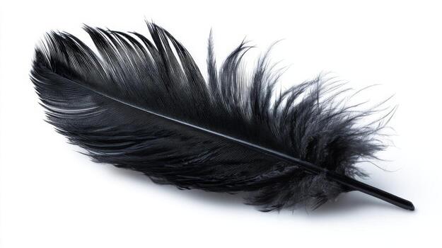Elegant Black Feather Isolated on White Background, Symbolizing Creativity, Writing, and Mystical Concepts photo
