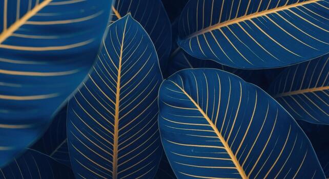 Close-Up of Exotic Blue Leaves with Golden Stripes Natures Abstract Pattern and Texture photo