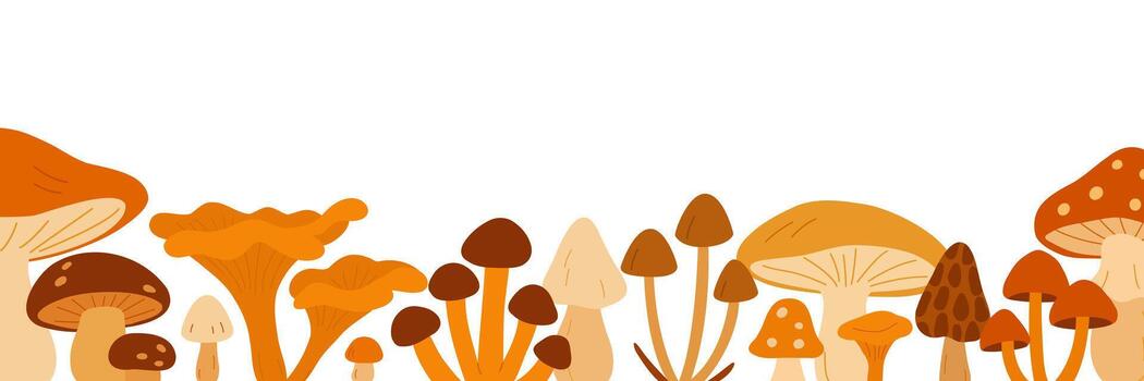 set of autumn mushrooms with different shapes and tones arranged as decorative border in botanical style for seasonal nature design projects vector