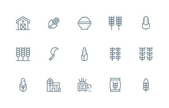 Grain featuring 15 Icons in Regular Line Design High-Resolution Icons for Any Platform vector