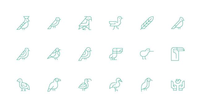 Feathered Visual Pack containing 18 Minimal Line Icons Essential Icon Set for Teams vector
