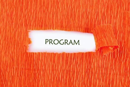 Concept word PROGRAM. Data Digital Programs System Technology Concept photo