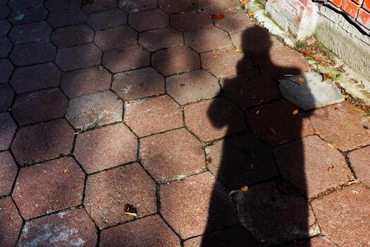 A textured brick pathway with a shadow, creating an abstract pattern and design. photo