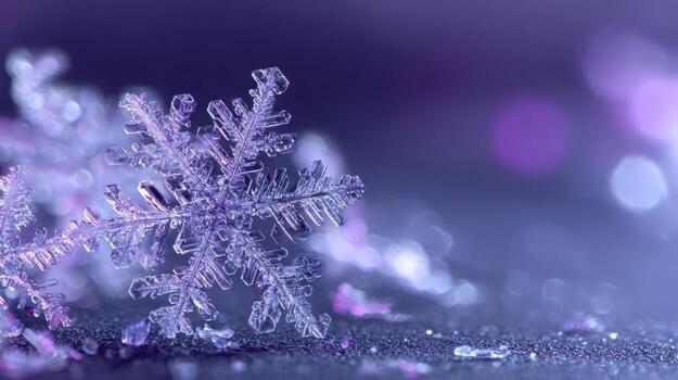 Detailed Macro Photograph of a Single Snowflake on a Cool Blue and Purple Background photo