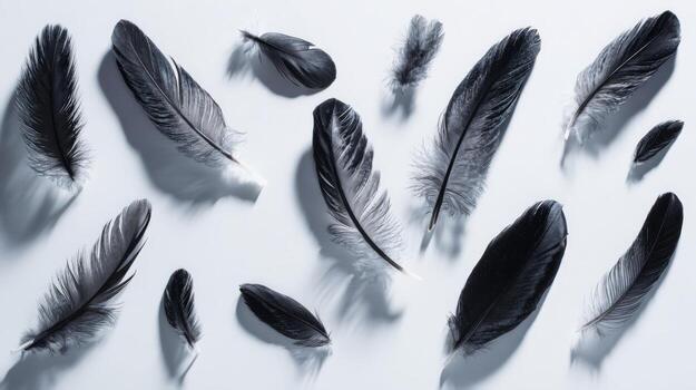 elegante formación de negro plumas un delicado modelo en blanco antecedentes para diseño y decoración foto