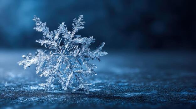 Detailed Macro Photograph of a Single Intricate Snowflake on a Frozen Surface Against a Blue Background photo