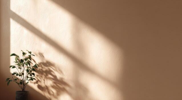 A potted plant sits on a table in front of a wall photo