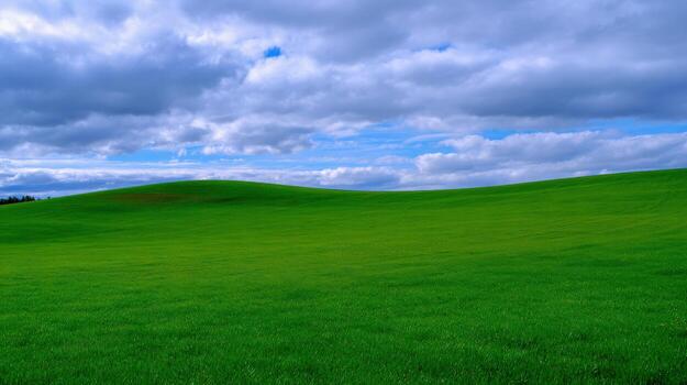 Lush Green Field Under a Cloudy Sky A Serene Nature Landscape for Advertising and Creative Projects photo