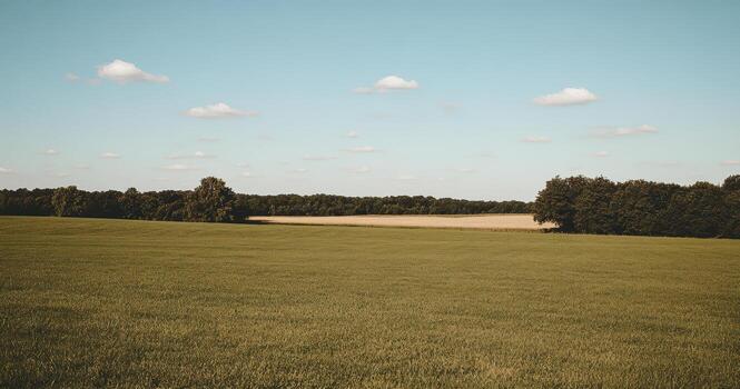 Serene landscape with open field and tree line under clear blue sky photo