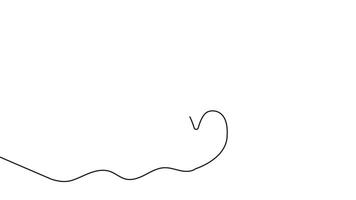 Apple continuous one line drawing animation minimal style simple 4k animation design video