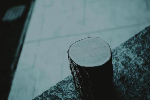 Wooden log cut surface rests on a stone table in subdued light photo