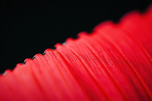 Vibrant red leaf close-up showcasing intricate textures and details photo