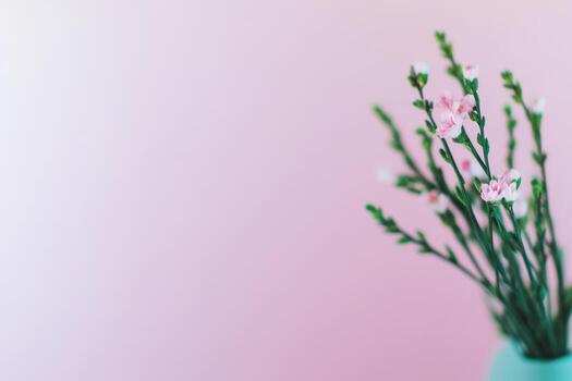 Delicate pink flowers in a simple vase against a soft pink background photo