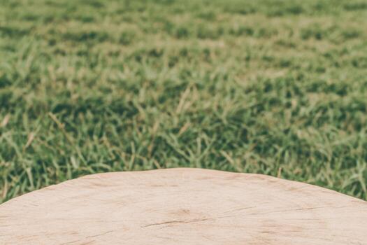 Wooden log resting on green grass under bright sunlight in a park setting photo