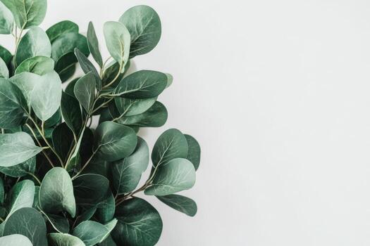 Green leaves display natural beauty on a light background in a modern setting photo