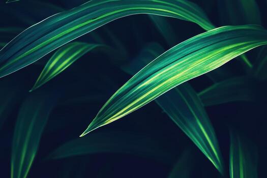Close-up view of vibrant green leaves with striking stripes in natural light photo
