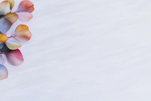 Colorful leaves arranged on white surface for creative design projects photo