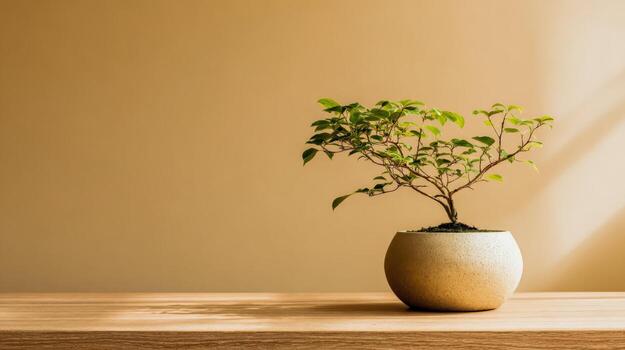 Bonsai Tree in Ceramic Pot on Wooden Surface with Neutral Background and Soft Lighting photo