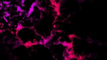 Preto fundo com Rosa e roxa plexo video