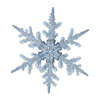 detailopname van een delicaat sneeuwvlok geïsoleerd Aan transparant achtergrond, presentatie van haar ingewikkeld kristallijn structuur en uniek, symmetrisch ontwerp png