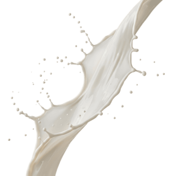 dinamico spruzzo di latte isolato su trasparente sfondo, cattura suo fluido movimento, cremoso struttura, e incontaminato bianca colore nel un' travolgente Immagine png