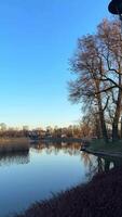 rustig oever van het meer tafereel overgangen door sereen reflecties, presentatie van de schoonheid van natuur met levendig blauw luchten en teder rimpelingen Aan de water oppervlakte video