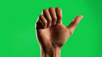 en hand med de handflatan vänd framåt- i en sluta gest, realistisk hud textur, isolerat på platt fast grön skärm bakgrund video