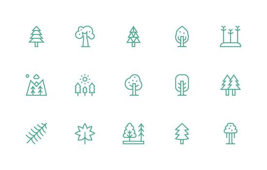 hojas perennes conjunto con 15 regular línea íconos basado en temas icono paquete vector