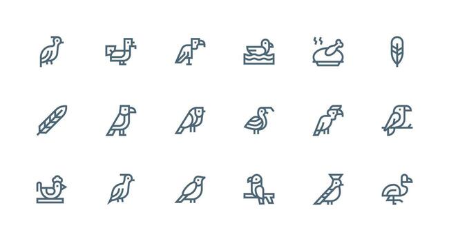 Avian Visual Pack containing 18 Strong Stroke Line Icons Interface Icon Collection for Daily Projects vector