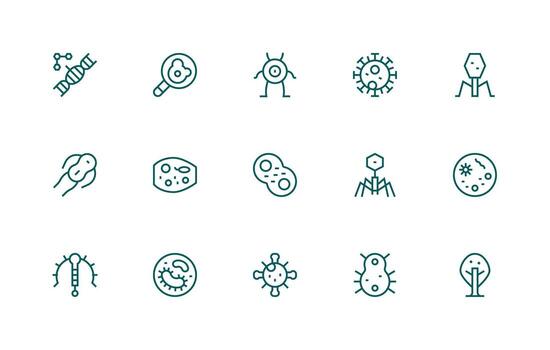 15 regular línea diseños para organismo íconos completar icono haz para web diseño vector
