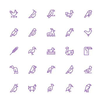 Avian Set with 25 Medium Stroke Outline Icons Clean Set for Layout Prototypes vector