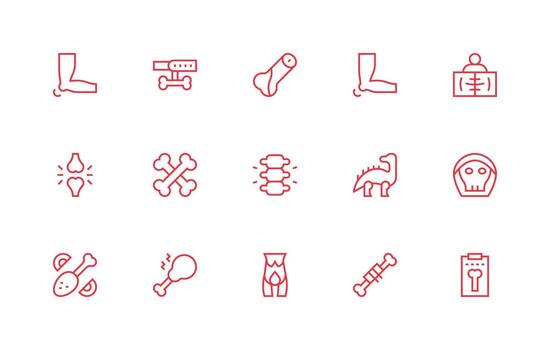 15 Regular Line Vectors for Bone Theme Design Ready Icon Set for Teams