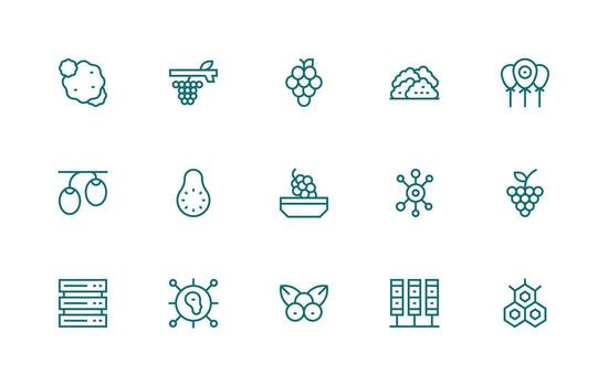 15 Regular Line Icons for Cluster Graphics Simplified Icon Pack for Visual Tools vector