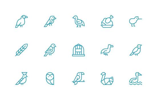 15 Regular Line Icons for Avian Graphics Digital Product Icons for Fast Delivery vector