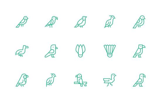 Feathered Icon Set with 15 Regular Line Graphics Modern Icon Set vector