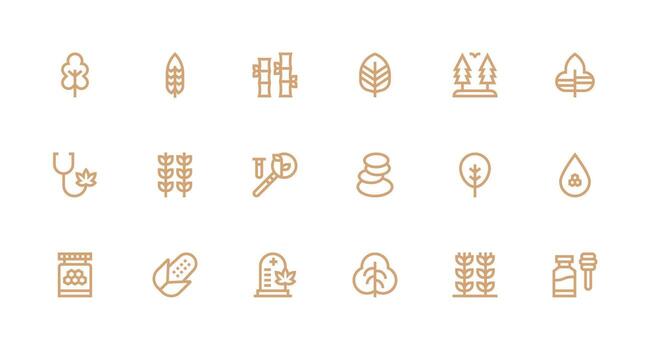 Natural Icon Set with 18 Strong Stroke Line Graphics Icon Set for Web vector