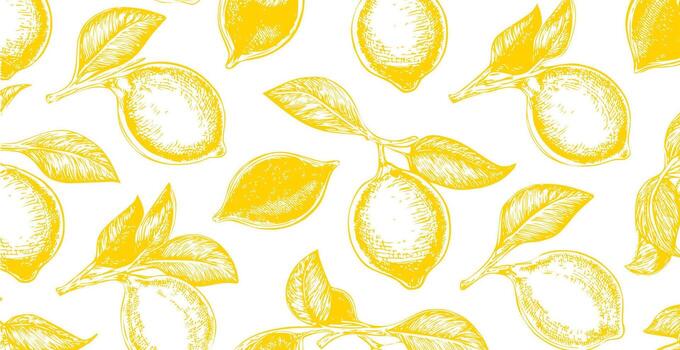 Lemons print, simple sketch style background vector