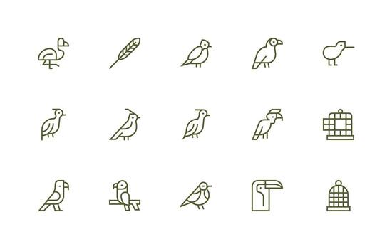 15 Regular Line Icons for Ornithology Graphics Reusable Icon Set vector