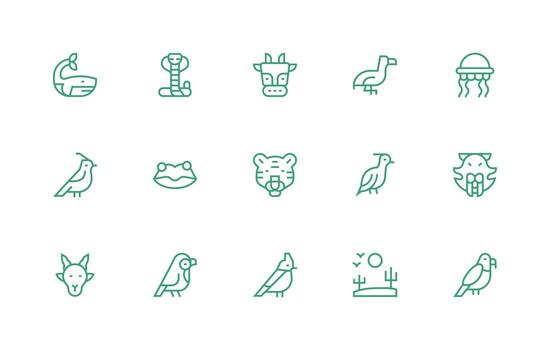 Fauna Visual Pack containing 15 Regular Line Icons Clear and Concise Icon Set Collection vector