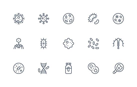 organismo diseño íconos presentando 15 en regular línea estilo limpiar icono colección para web utilizar vector