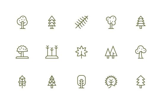 Evergreen Icon Set with 15 Regular Line Graphics Layout Icon Collection vector