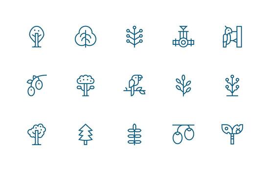 Branch Visual Pack containing 15 Regular Line Icons Basic Icon Series vector