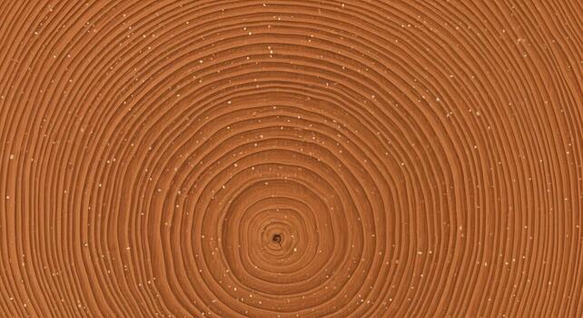 Close-up View of Tree Rings A Detailed Study of Natural Wood Grain and Texture photo