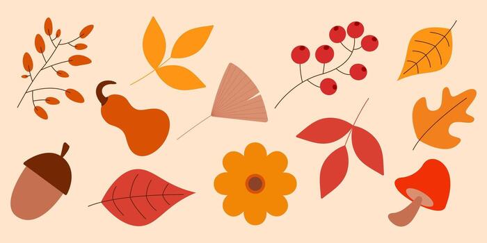 otoño icono conjunto con vistoso otoño hojas, bellota, flor, seta y otro. linda estacional elemento para acción de gracias, web y impresión diseño vector
