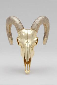 a golden ram skull, with grey color background. photo